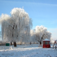 Зимние зарисовки