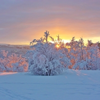 Чудесный день.