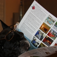 В мечтах о путешествии.