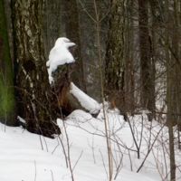 Высоко сижу ... всё вижу