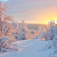 Заполярная сказка.