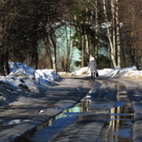 Дорога в весну