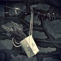 Лаванда от Dior