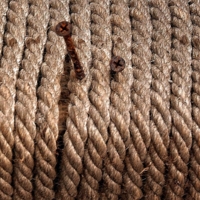 Два нарушителя. 