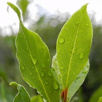 После дождя