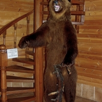 Добро пожаловать...