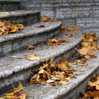 Стертых ступеней убор золотистый