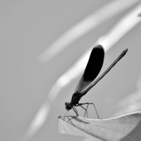 Держи меня...