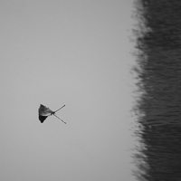 ...уж не взлететь ...