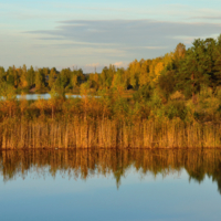 Краски осени