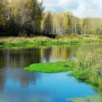 Краски осени