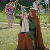 Кельтский музыкант