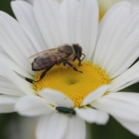 ...четыре, пять, я иду искать! 