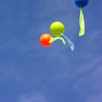 Улетели, чтобы не вернуться...