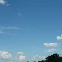 Поймали ветер...