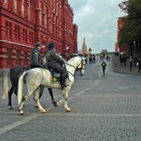 конный патруль