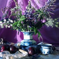 Натюрморт с люпинами.