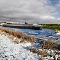 -Это я Сюзанна!