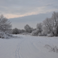 Предрассветное