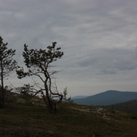 Северный пейзаж.