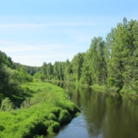 река Торопа в Тверской области