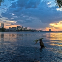 про воднопейзажный пень