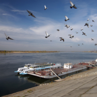 Внезапная  осень .