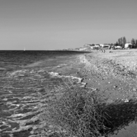 Спорящий с морем