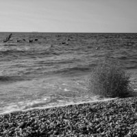 И один в море воин