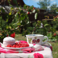 Малиновая пора.