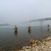 Туманные  перспективы  рыбалки.