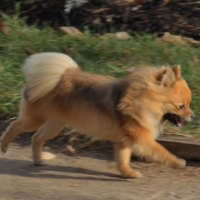 Радость жизни!