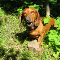 А еще пиво осталось? :-))