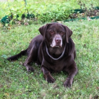 Старость - не радость!