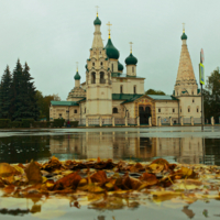 Сыро, уныло и дождь...