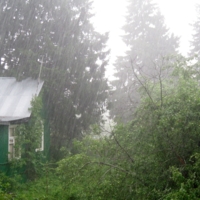 Как из ведра!!!