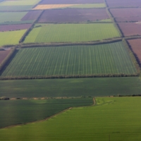 Лоскутное одеяло