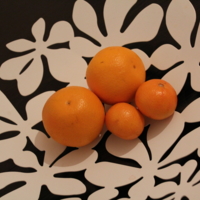 Апельсиновая семейка
