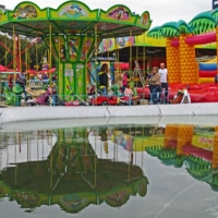 Яркие краски в хмурый день