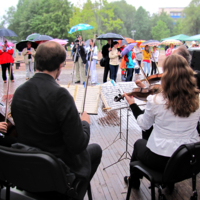 Музыка под дождём