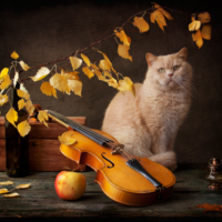 Осенняя музыка