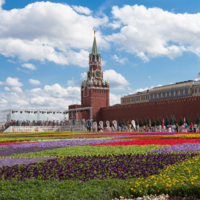 "Целая площадь цветов!" 