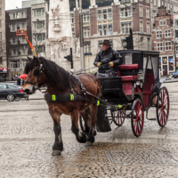 Старый извозчик