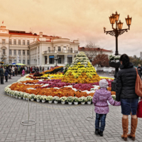 Целая площадь цветов