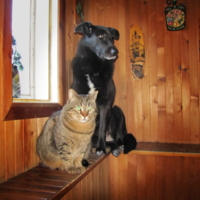 Опять все уходят...