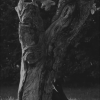 А я говорю - не залезешь!