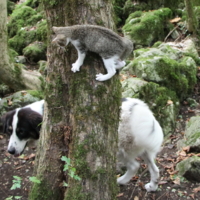 Где-то здесь...