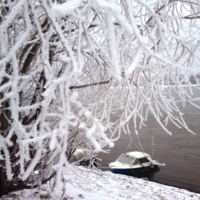 Первый снег