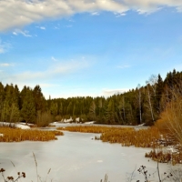 Замёрзший пруд