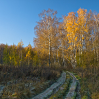 Просто пейзажик